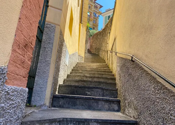 Appartamento - La Casa Di Ortensia - Liguria Holidays