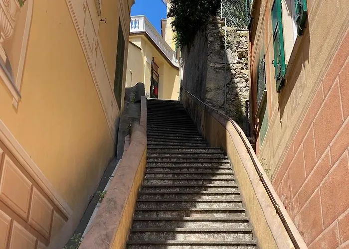 - 